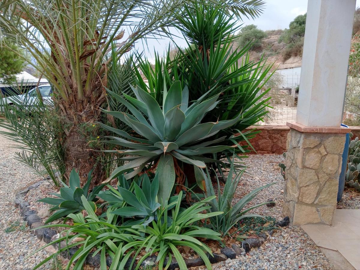 Cortijo Rural Molino El Tarahal Con Piscina Y Zonas Compartidas Exterior foto